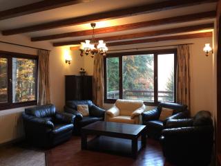 Villa Mara - Sinaia - 7