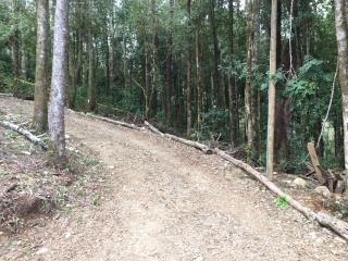 Cabaña Lago Villarrica ideal 2 familias - Villarrica - 3