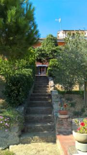 Il Girasole - Strevi - 2