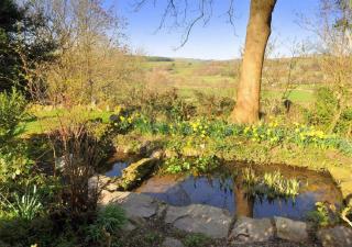 Dolifor - Llanwrthwl - 6