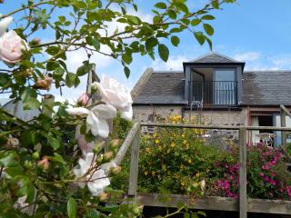 Plumtree Cottage - Kelso - 0