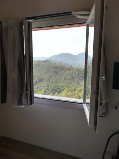 I Gelsi e i Castagni - Polverara - 1