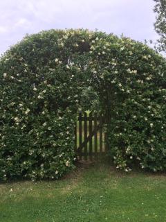 Lime Trees Farm - Bicester - 6