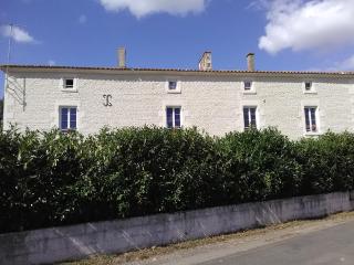 Le Marais Picotin - Saint-Pierre-le-Vieux - 3