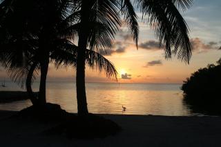 Costa De Cocos - Xcalak - 8