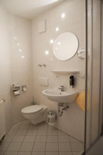 Hotel Garni Brauhof Niederwiesa - Niederwiesa - 2