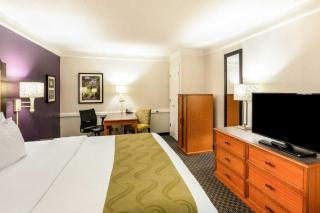 Quality Inn & Suites North Charleston - Ashley Phosphate - Charleston - 6