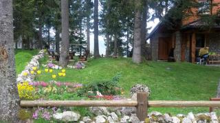 Apartman Sani - 5