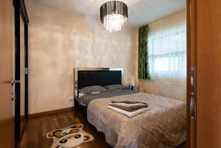 Sia Mountain Apartment - Predeal - 3