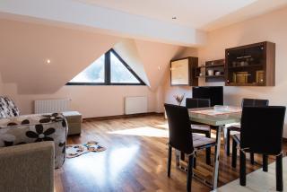Sia Mountain Apartment - Predeal - 2