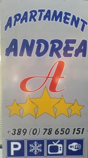 Apartment Andrea - 9