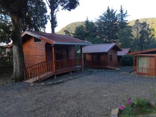 Cabañas San Gerardo - San Gerardo de Dota - 3