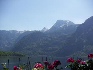 Fewo Wakolbinger-Wieder - Hallstatt - 5