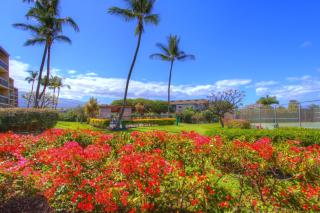Maui Vista 1313 - Kihei - 7