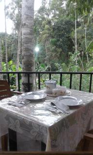 Mountain nest - Ella - 1