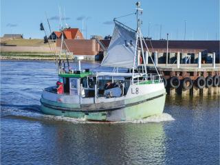 Three-Bedroom Holiday Home In Ulfborg - Sundhuse - 7