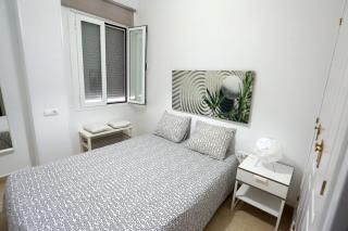 Apartamento Duque de Arcos 2 - 4
