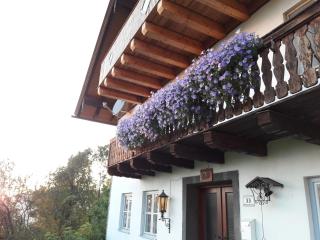 Bio Gesundheitshof Daxinger - Mondsee - 3