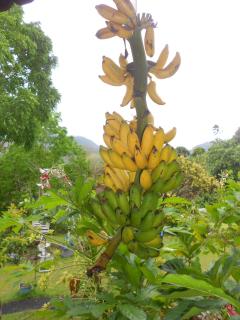 Gites Chez Marie Christine - 3