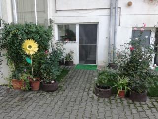 Vila Nely - Rîşnov - 9