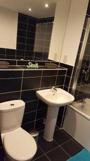 Vetrelax Chelmsford Apartment - 5