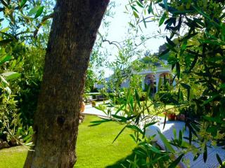 Hotel d'Altavilla - Canosa di Puglia - 5
