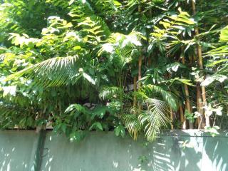 Herin Green House - Galle - 2