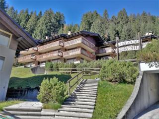 Trilocale Presanella - Serafini - Madonna di Campiglio - 0