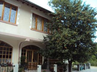 Amfora Guest House - Byala - 6