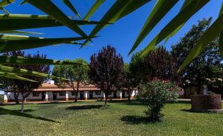 Naveterra-Hotel Rural - Alandroal - 5