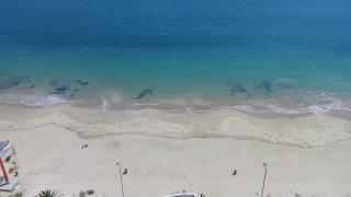 Apartamento Bahía Horizonte - Coquimbo - 5