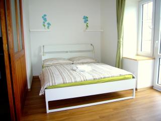 Bohemica Apartments - Děčín - 4