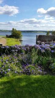 Lakeside Loughrea - Loughrea - 4