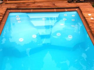 Villa Canaria piscina jacuzzi jardín - Santa Maria de Guia - 3