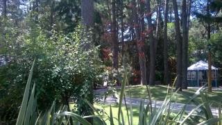 Cabañas Mapuche - Mar de las Pampas - 1