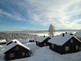 Kongsberg Booking - Kongsberg - 5