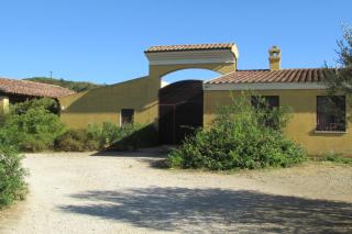 Cavalli di S'Arcaite - 3