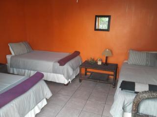 Jungle Monkey Backpackers - Port St Johns - 3