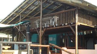 Jungle Monkey Backpackers - Port St Johns - 6