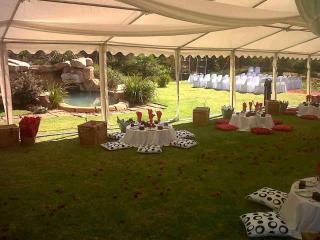 African Silhouette Guesthouse - Benoni - 8