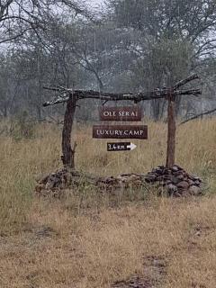 Ole Serai Luxury Camp - Serengeti - 6