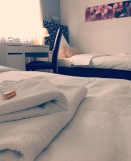 Hotel Heddernheimer Hof - Frankfurt am Main - 7