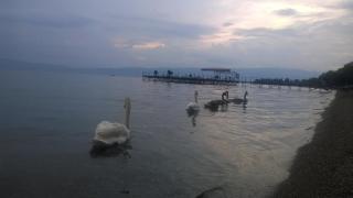 Apt Mari Ohrid - Ohrid - 3