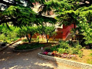 Villa Libe - Baška Voda - 0