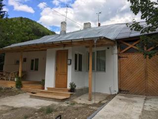Casa Oprea - Sinaia - 9