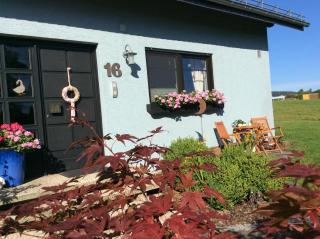 Ferienwohnung Haus Friederike ab 6 Übernachtungen, inclusive Meine Card Plus - Willingen - 6