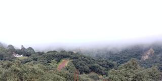 Hotel Roseville - Chignahuapan - 5