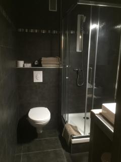Appartement Saint Jean - Metz - 9