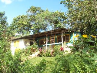 Ecotopía Park - El Hoyo del Cacao - 0