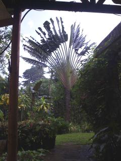 Ecotopía Park - El Hoyo del Cacao - 5